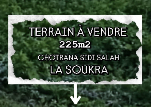CHOTRANA SiDI SALAH:  TERRAIN À VENDRE