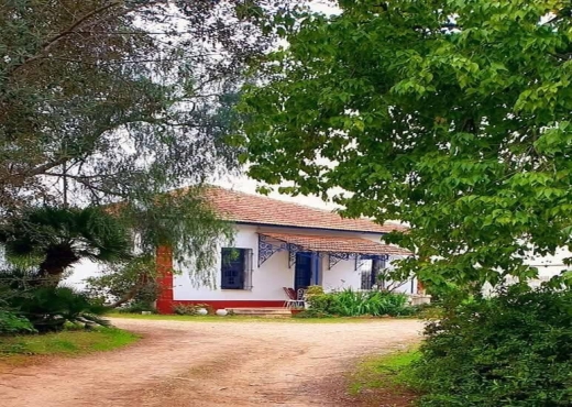 CEBELAT BEN AMMAR : TERRAIN A VENDRE - image 4